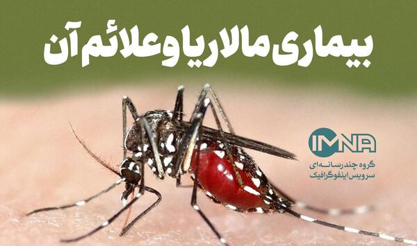 عکس نیش زدن پشه مالاریا