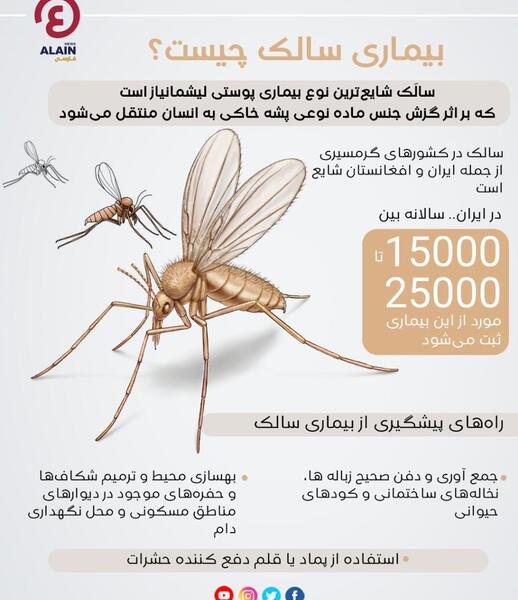 دانلود عکس پشه سالک