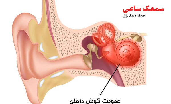 عکس داخل گوش عفونت کرده