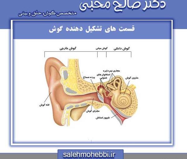 عکس داخل گوش عفونت کرده
