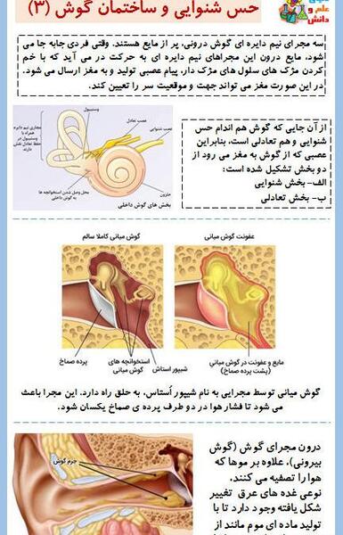 عکس داخل گوش کلاس پنجم