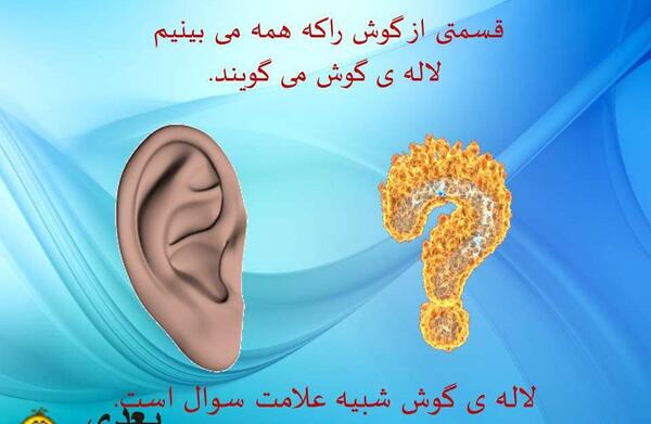 عکس داخل گوش کلاس پنجم