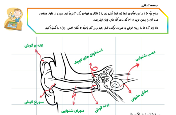 عکس داخل گوش کلاس پنجم