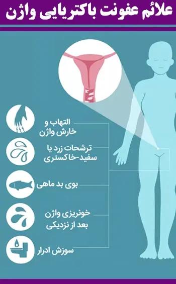 عکس عفونت قارچی داخل واژن
