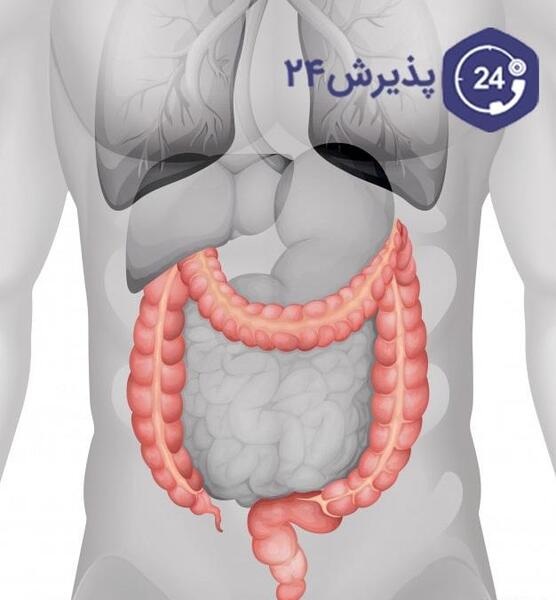 عکس کامل داخل شکم انسان