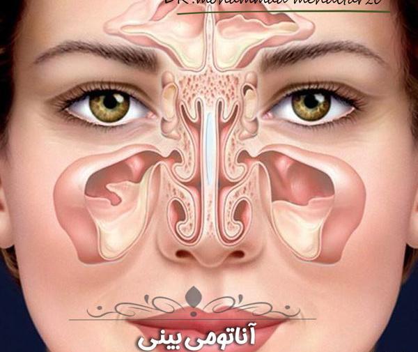 عکس های داخل دماغ