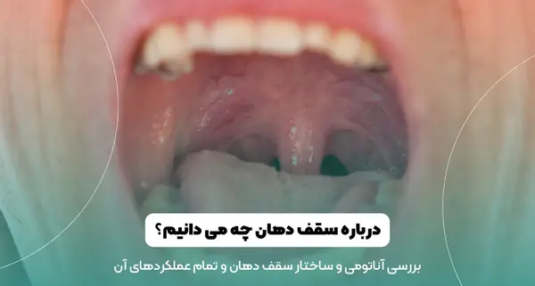 عکس داخل دهان انسان سالم