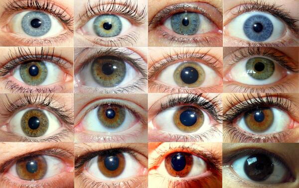 عکس از داخل چشم انسان