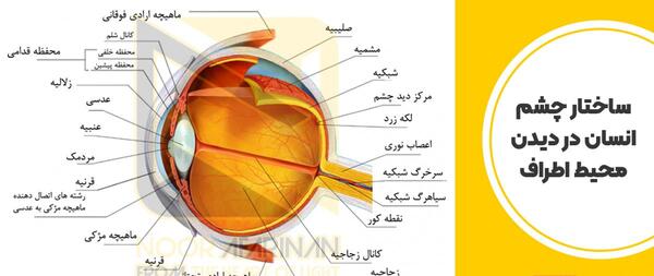 عکس از داخل چشم انسان