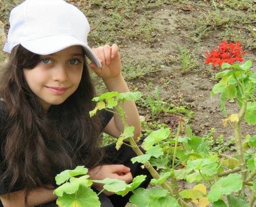 عکس های جدید از ساحل بکرانی