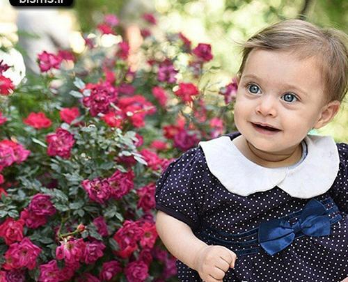 عکس های جدید از ساحل بکرانی