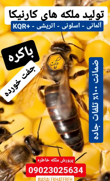 عکس ملکه کارنیکای اتریشی