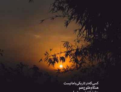 عکس نوشته ملکه قلبم تویی