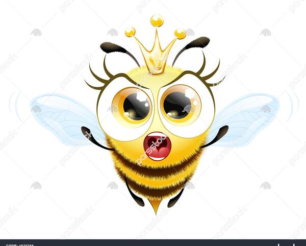 عکس زنبوری عسل ملکه