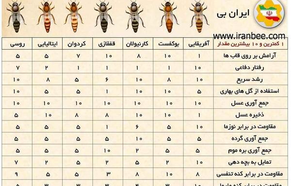 عکس شاخون ملکه