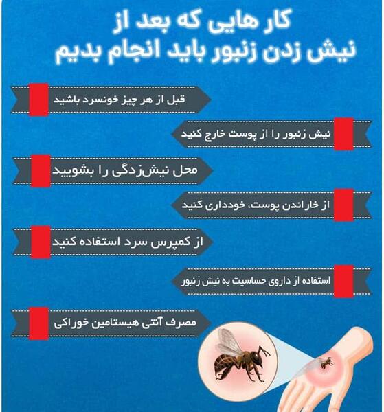 گاوی عکس ملکه زنبورهای قرمز