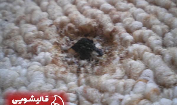 عکس فرش سوخته با زغال