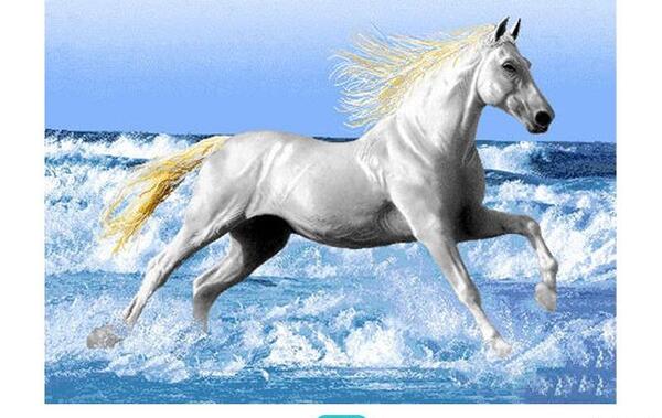 عکس فرشینه از نزدیک