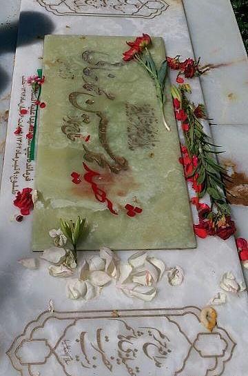 عکس شهید محمد حسین محمد خانی و همسرش