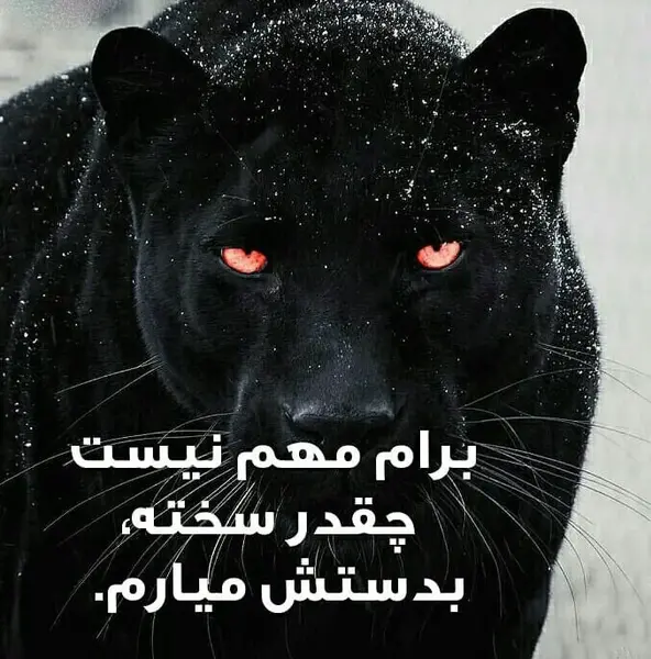 عکس دخترونه با متن انگیزشی
