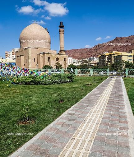 عکس شهید هانیه
