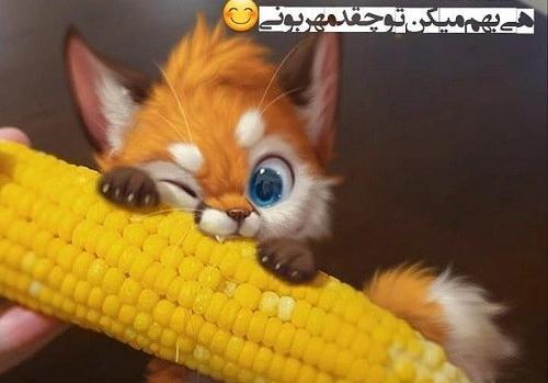 عکس پروف خنده دار دخترانه