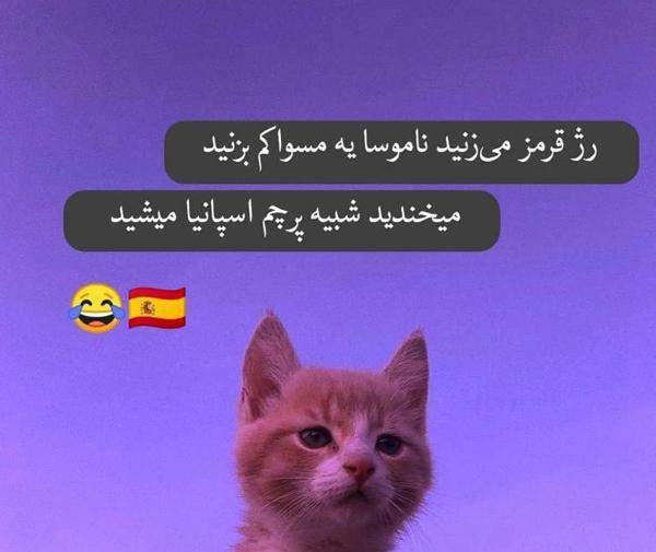 عکس پروف خنده دار دخترانه