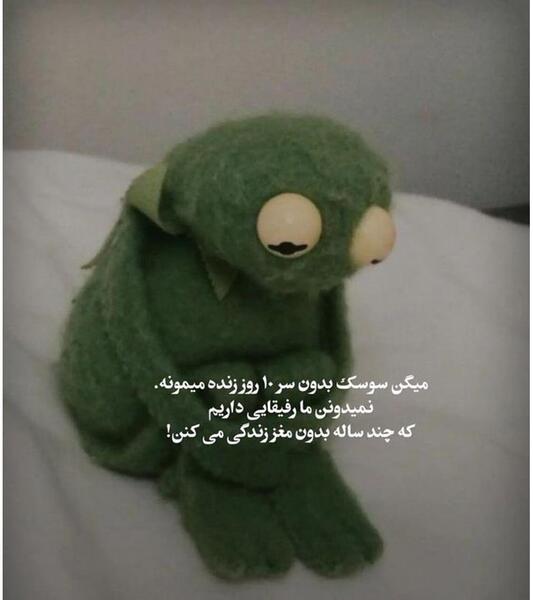 عکس پروف خنده دار جدید