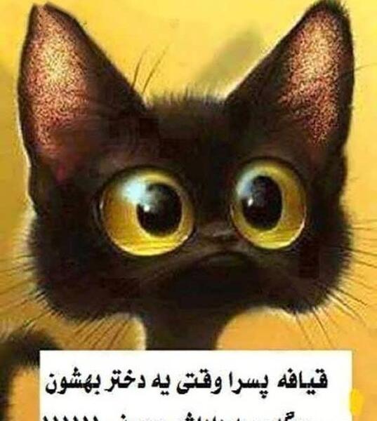 عکس پروف خنده دار جدید