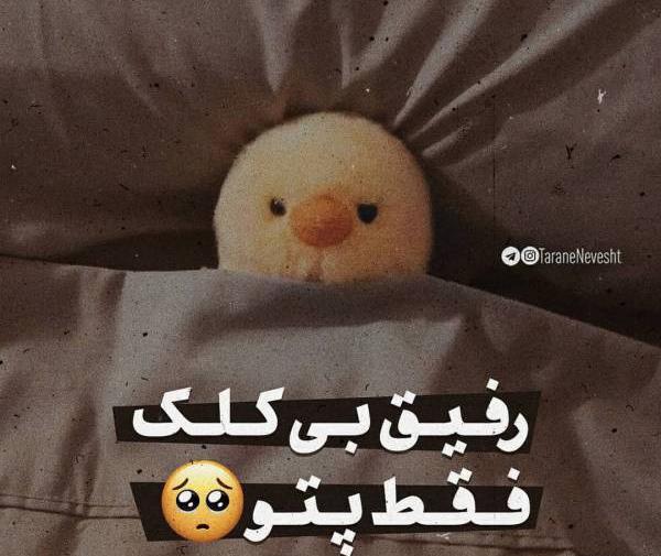 عکس پروف خنده دار جدید