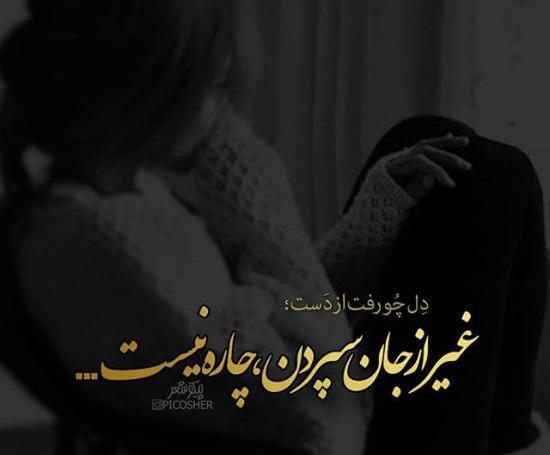 عکس پروف رفیق نامرد