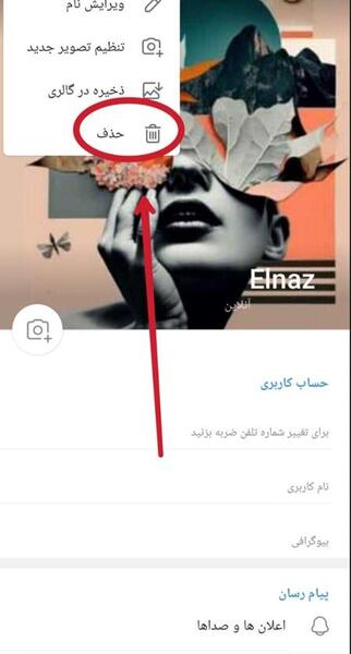 عکس پروف روبیکایی