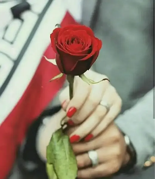 عکس پروف ساده و شیک