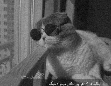 عکس پروف سنگین دخترونه