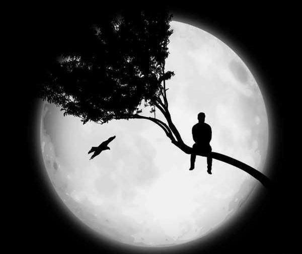 عکس پروف شاخ پسرانه