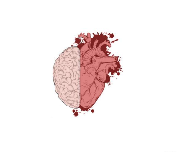 عکس پروف قلب و مغز