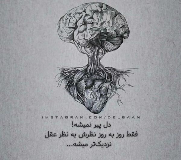 عکس پروف قلب و مغز