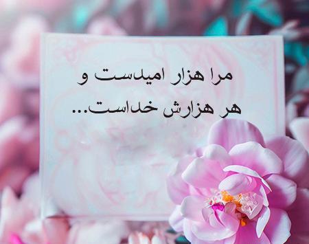 عکس پروف گل زیبا
