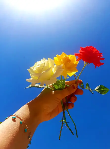 عکس پروف گل دخترانه