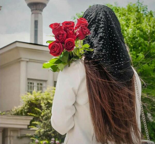 عکس پروف گل رز مشکی