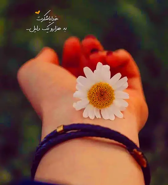 عکس پروفایل خدایی شیک