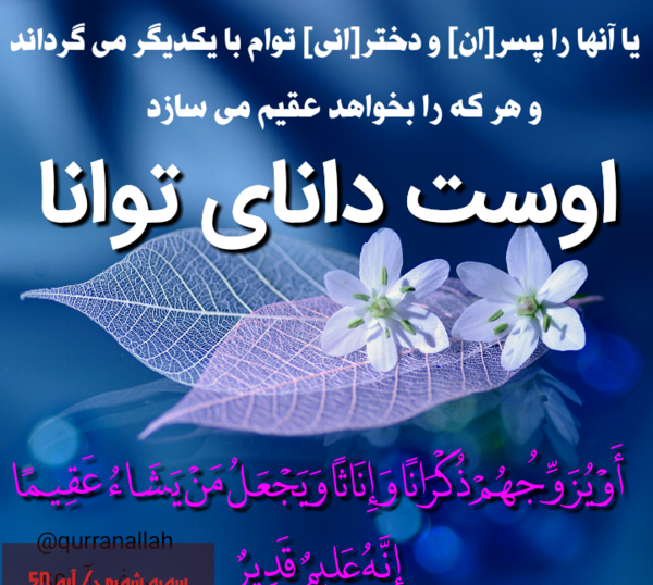 عکس پروف قران کریم
