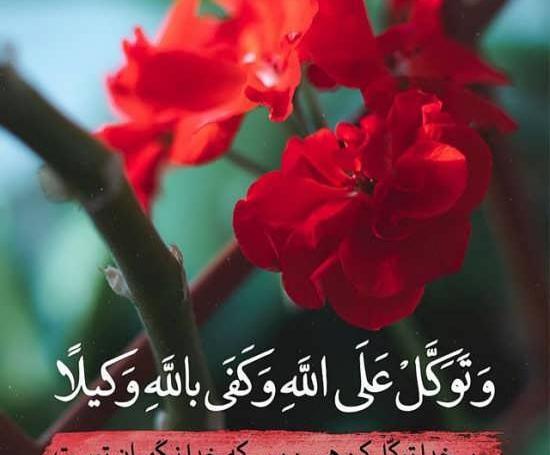 عکس پروف قران کریم