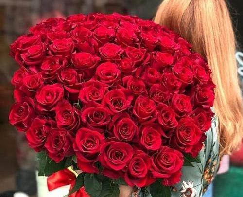عکس پروف گل رز قرمز