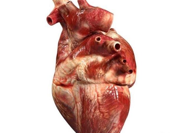 عکس پروف قلب واقعی