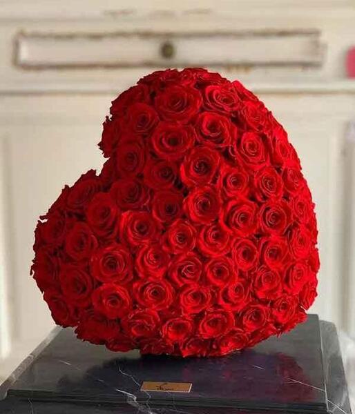 عکس پروف قلب واقعی