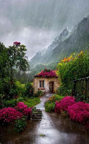 عکس پروف در طبیعت