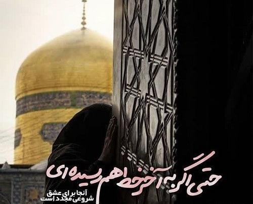 عکس حرم امام رضا برای پروف