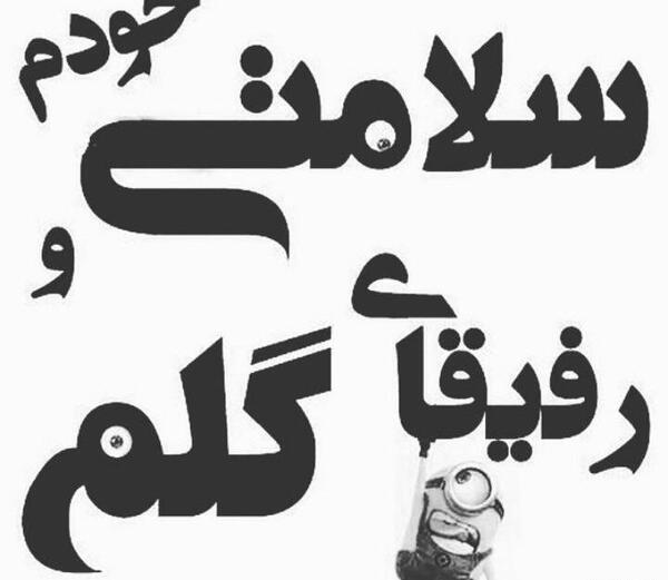 عکس پروف گروه باحال