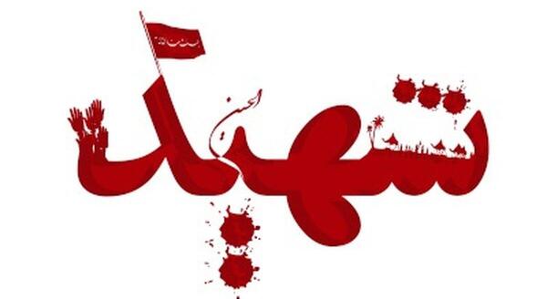 عکس شهید رامین ولایتی